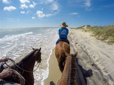 Things To Do in South Padre Island 